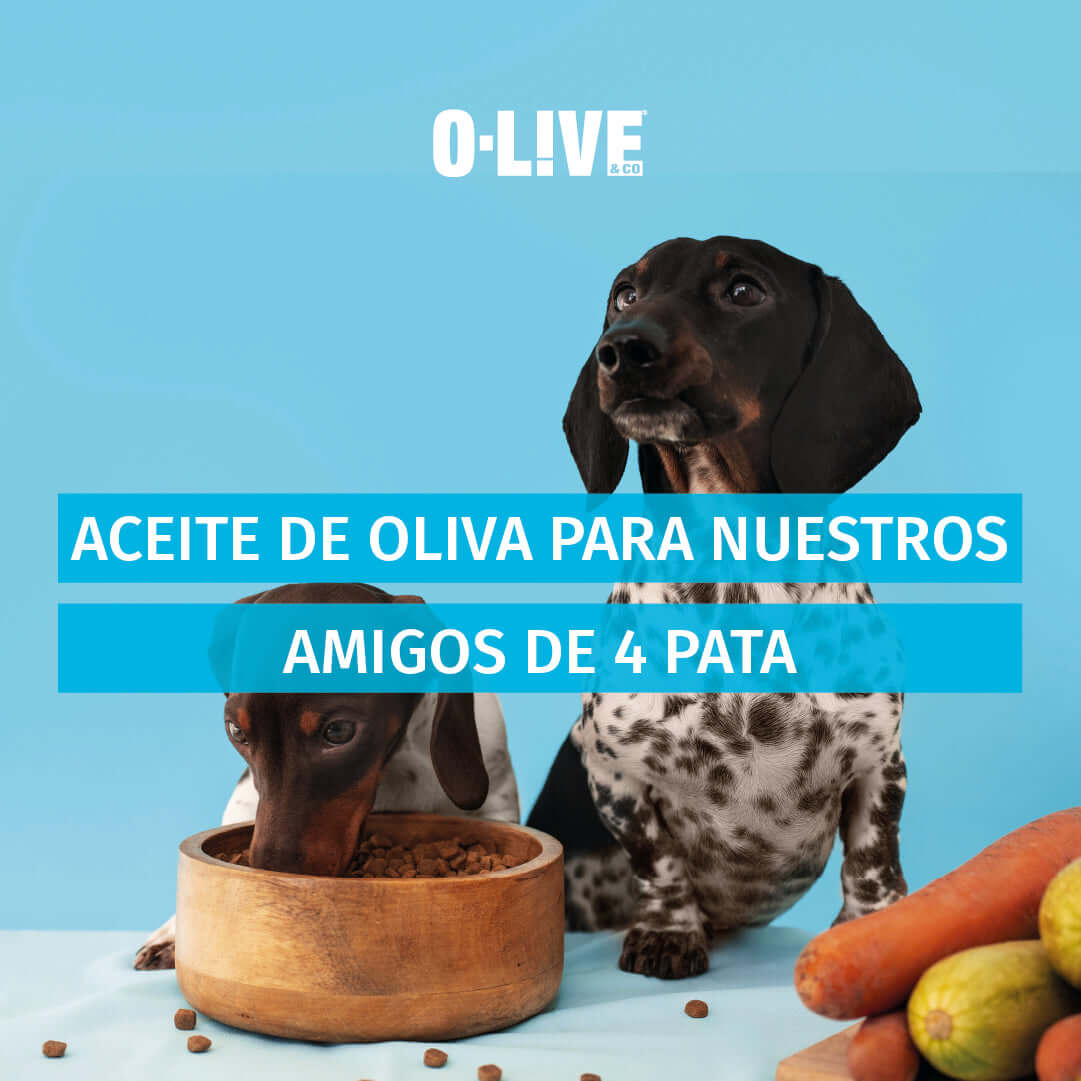 Aceite de oliva para nuestros amigos de 4 patas