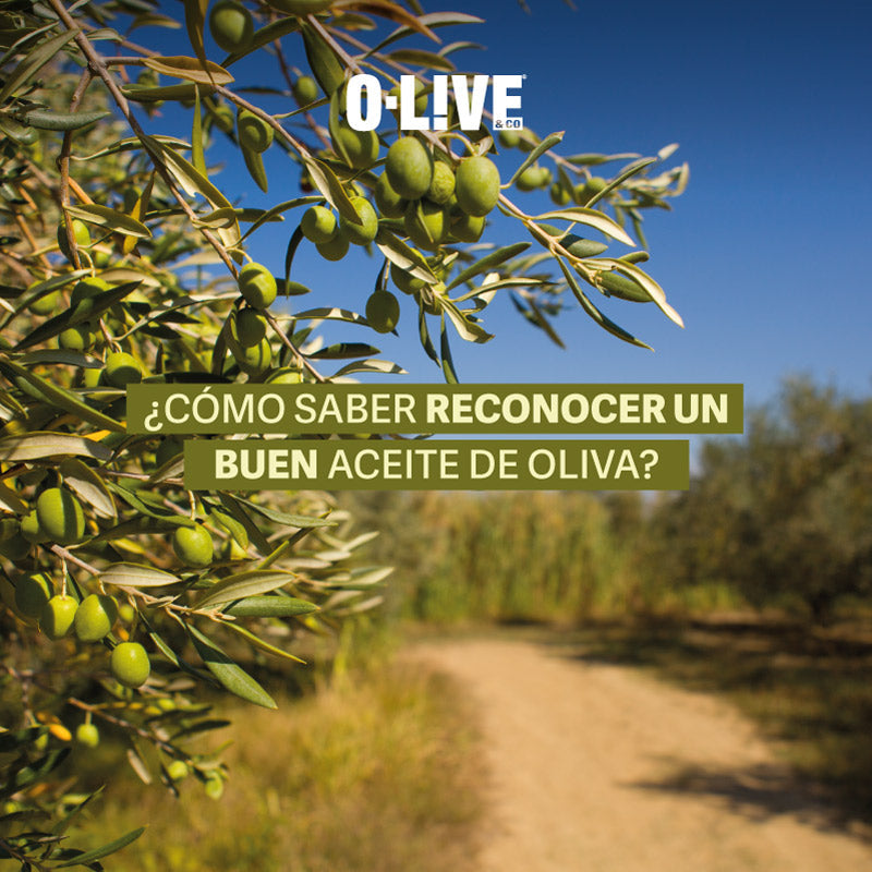 Tips para saber reconocer un buen aceite de oliva