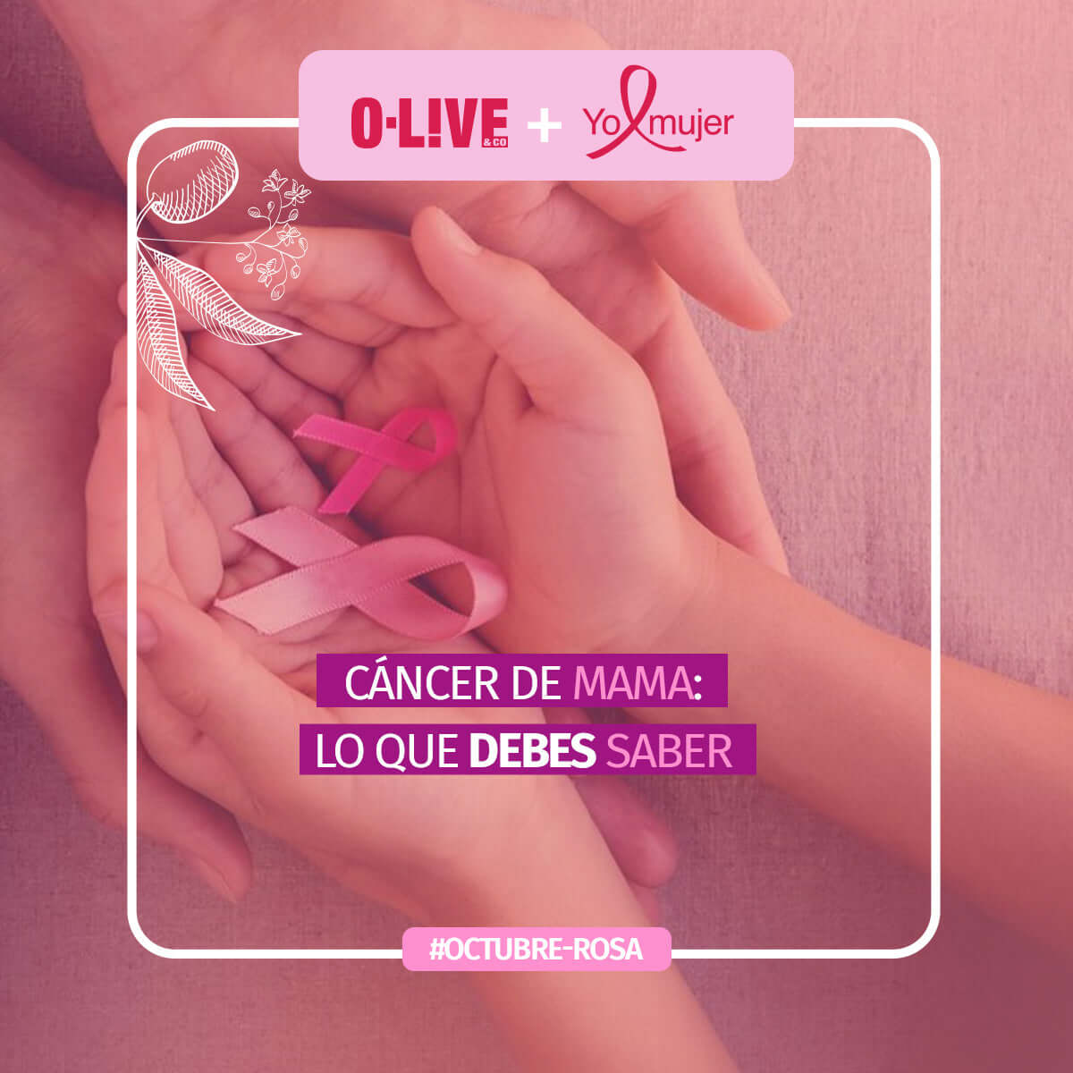 Cáncer de Mama: Lo que debes saber