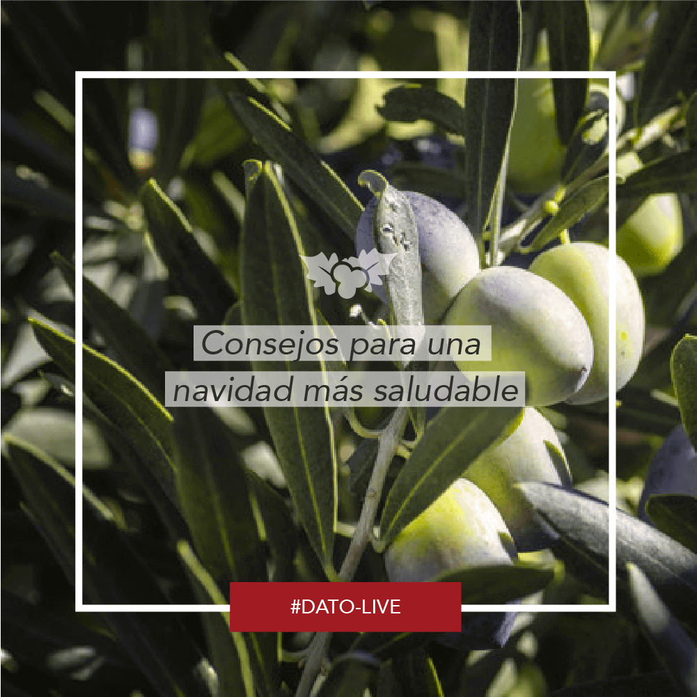 Portada de Dato O-Live que muestra el texto: "Consejos para una navidad más saludable".