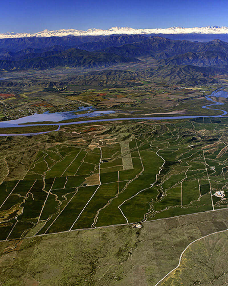 Tiempo de Cosecha: El origen de todo