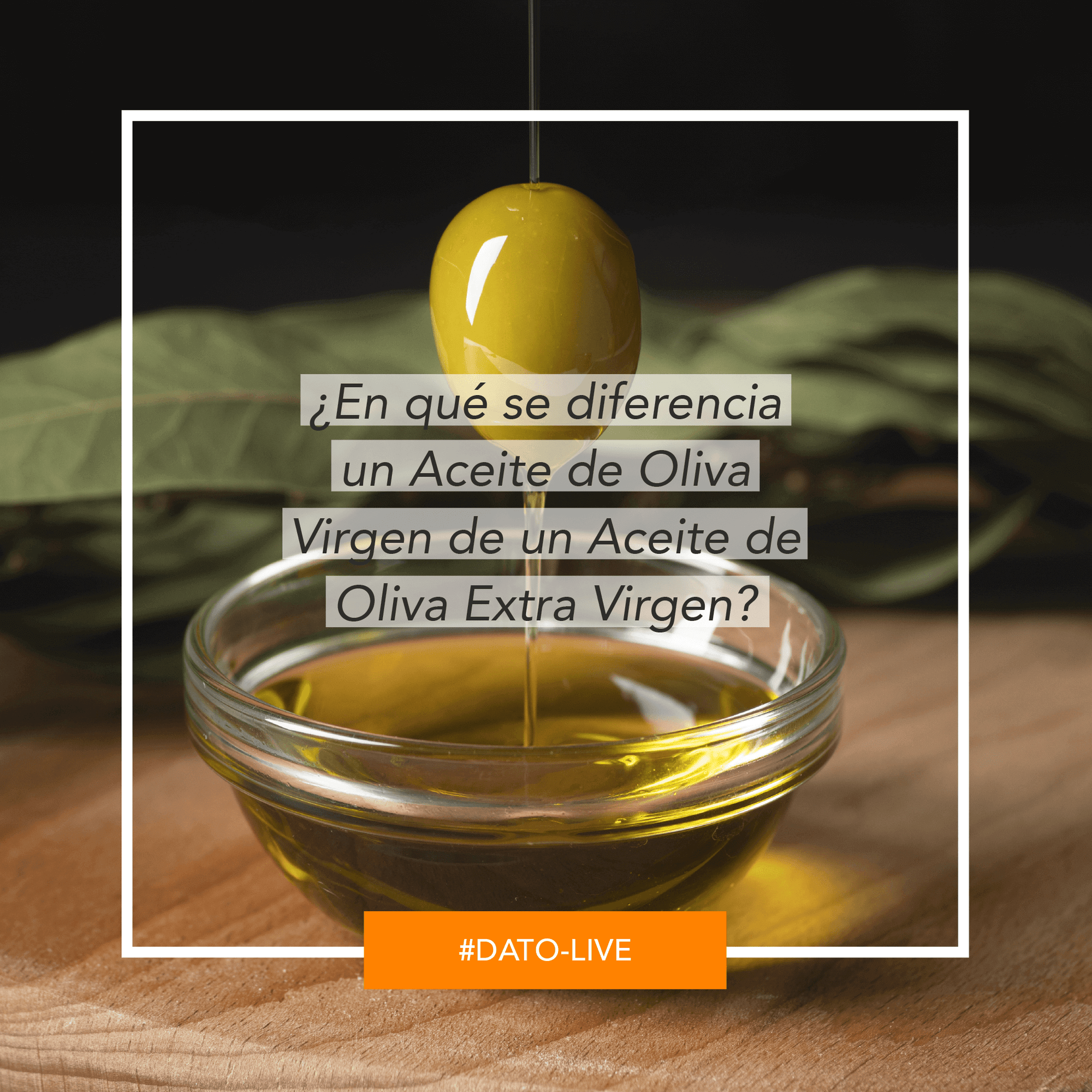 Portada de Dato O-Live que muestra el texto: "¿En qué se diferencia un aceite de oliva virgen de un aceite de oliva extra virgen?".