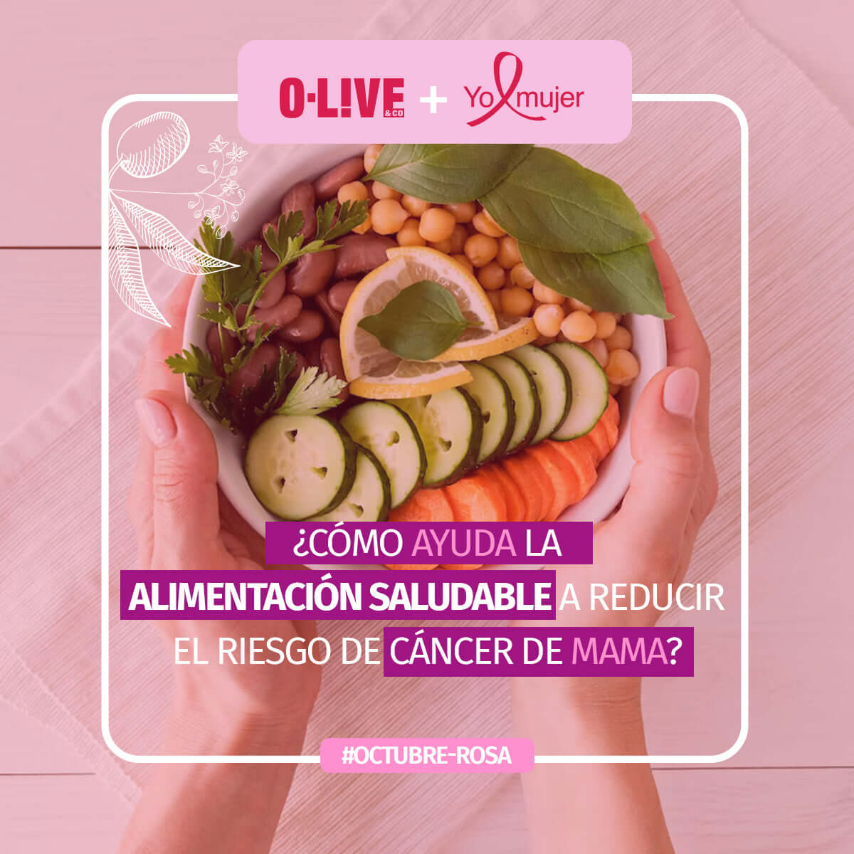 ¿Cómo ayuda la Alimentación Saludable a reducir el riesgo de Cáncer de Mama?