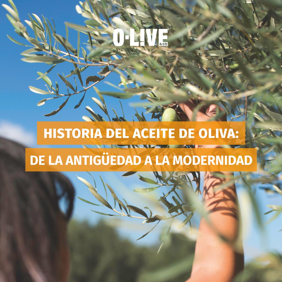 Historia del aceite de oliva: de la antigüedad a la modernidad