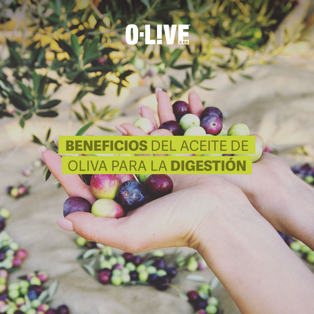 Beneficios del Aceite de Oliva para la Digestión