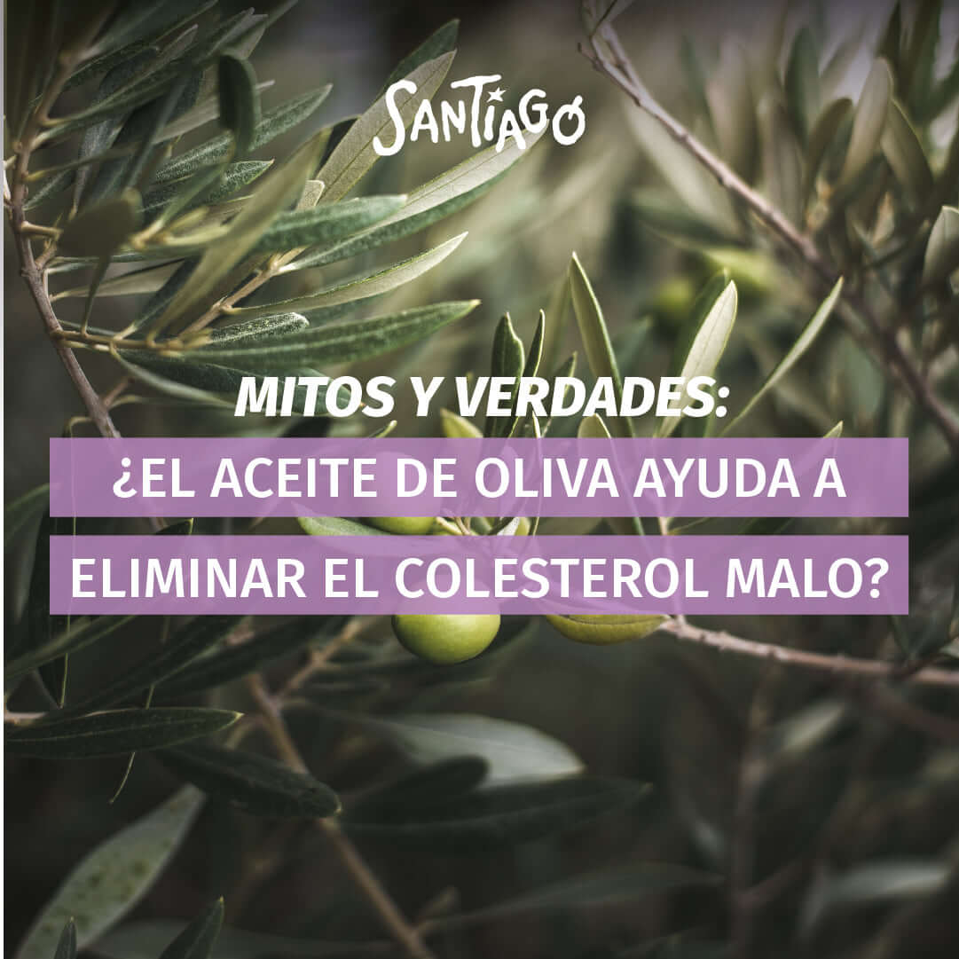 Mitos y Verdades: ¿El aceite de oliva ayuda a eliminar el colesterol malo?