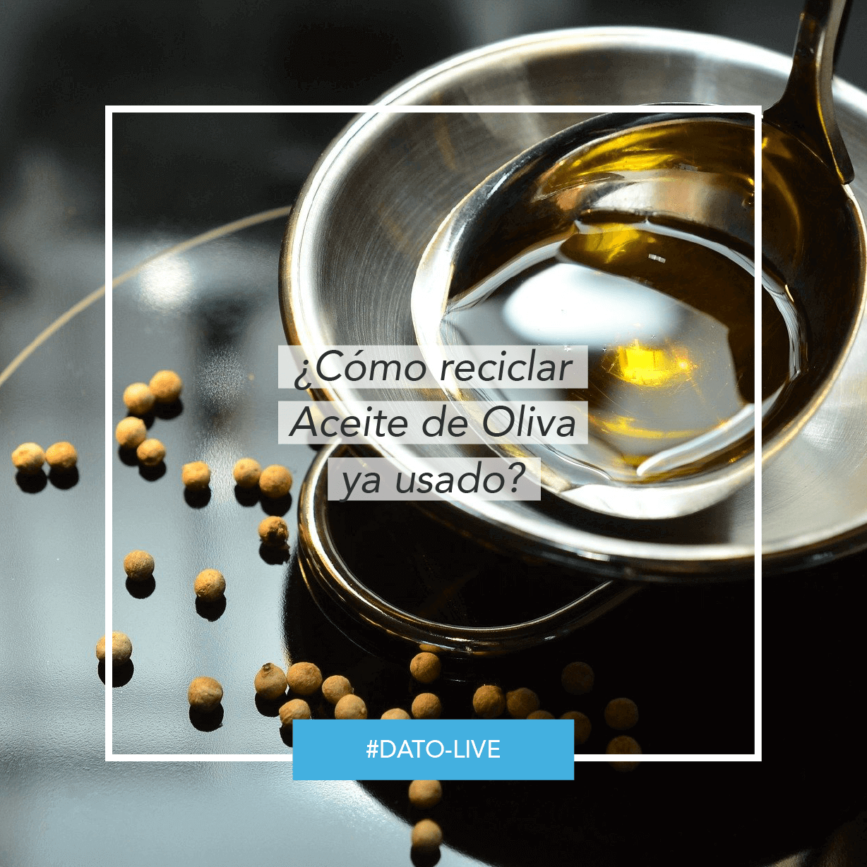 Portada de Dato O-Live que muestra el texto: "¿Cómo reciclar aceite de oliva ya usado?".