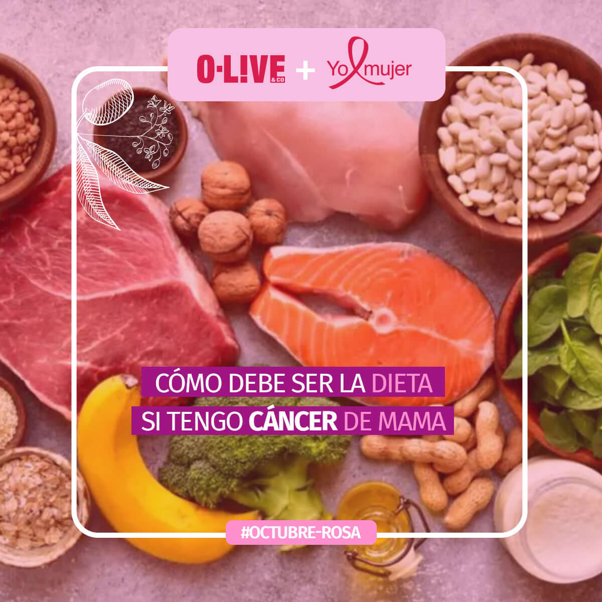 ¿Cómo deber ser mi dieta si tengo cáncer de mama?