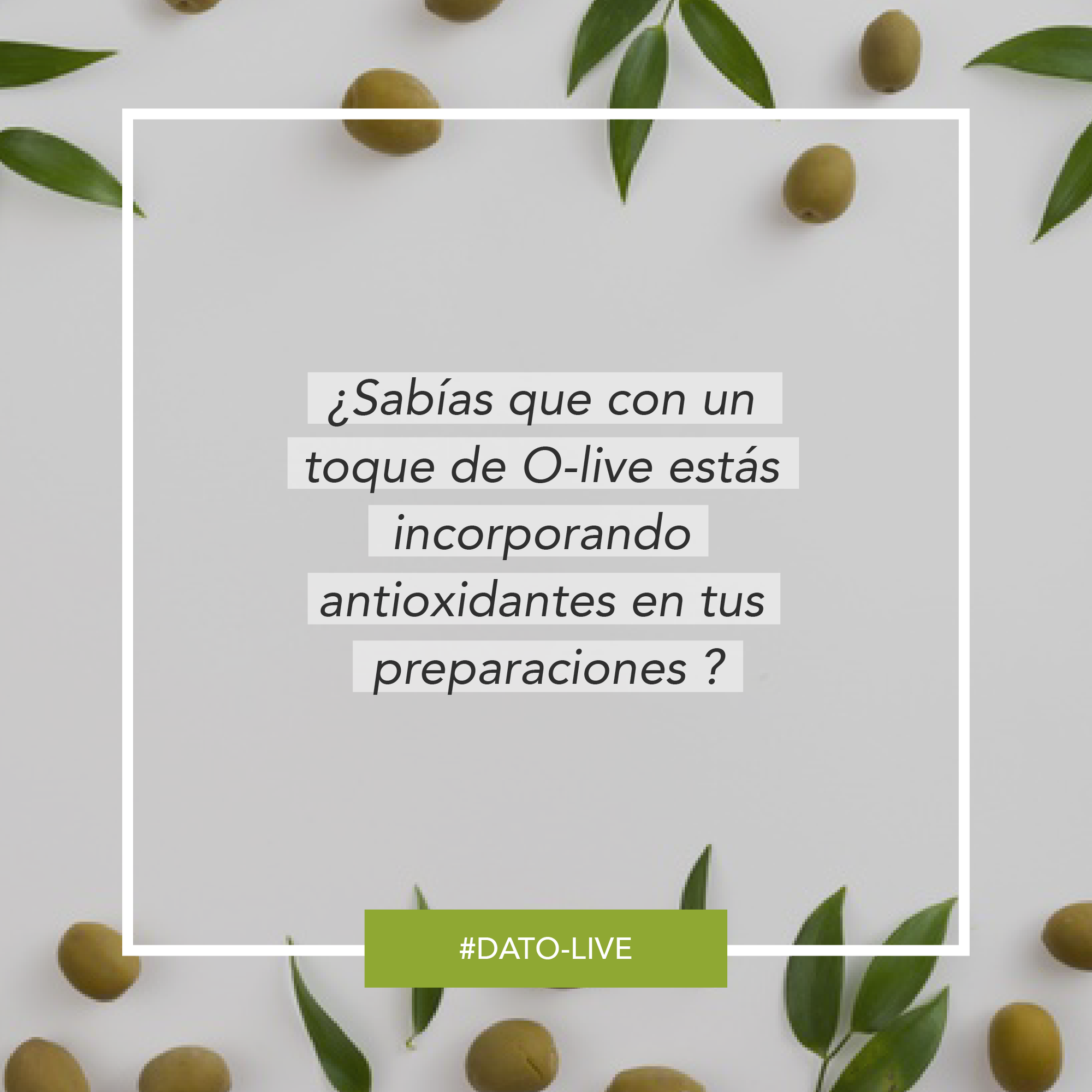 Portada de Dato O-Live que muestra la pregunta "¿Sabías que con un toque de aceite de O-Live estás incorporando antioxidantes en tus preparaciones?".