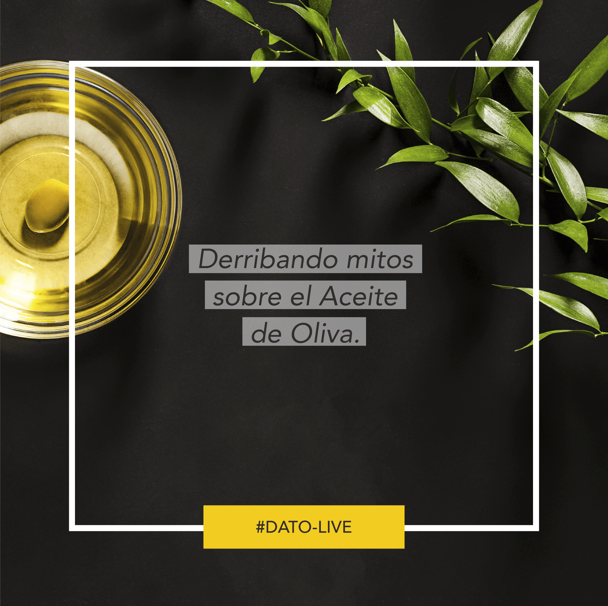 Portada de Dato O-Live que muestra el texto: "Derribando mitos sobre el aceite de oliva".