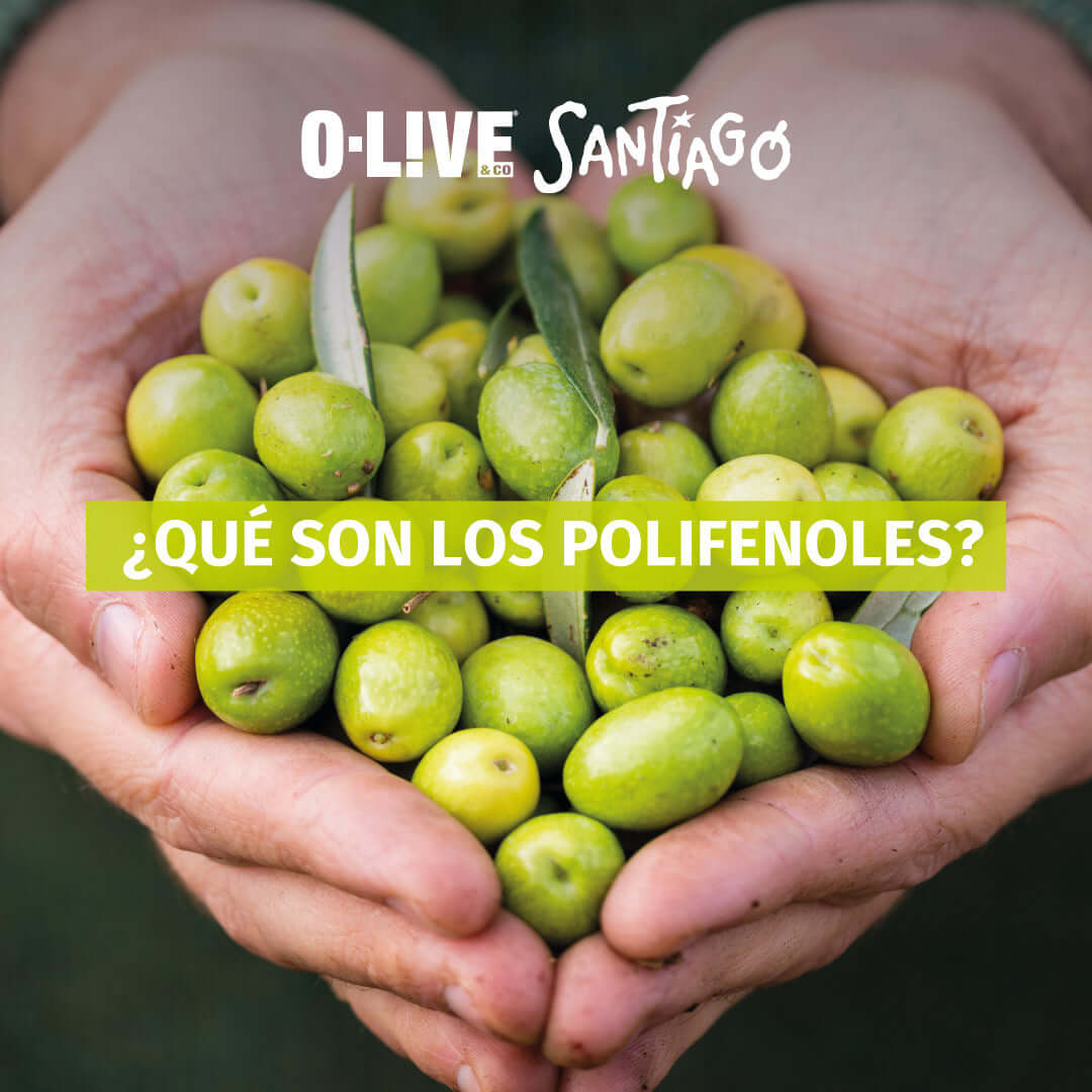 Descubre los Beneficios de los Polifenoles en el Aceite de Oliva O-Live