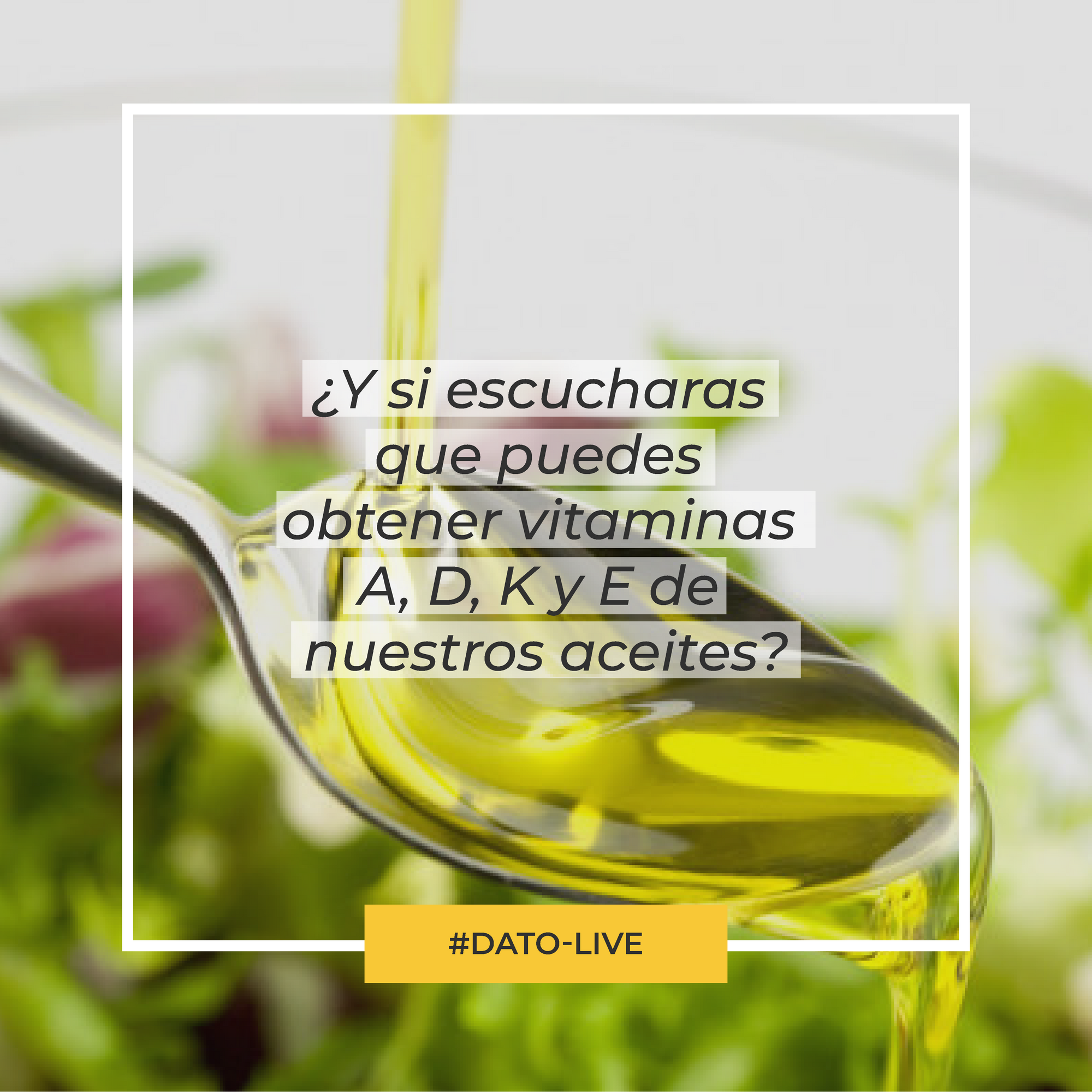 Beneficios de nuestro Aceite de Oliva