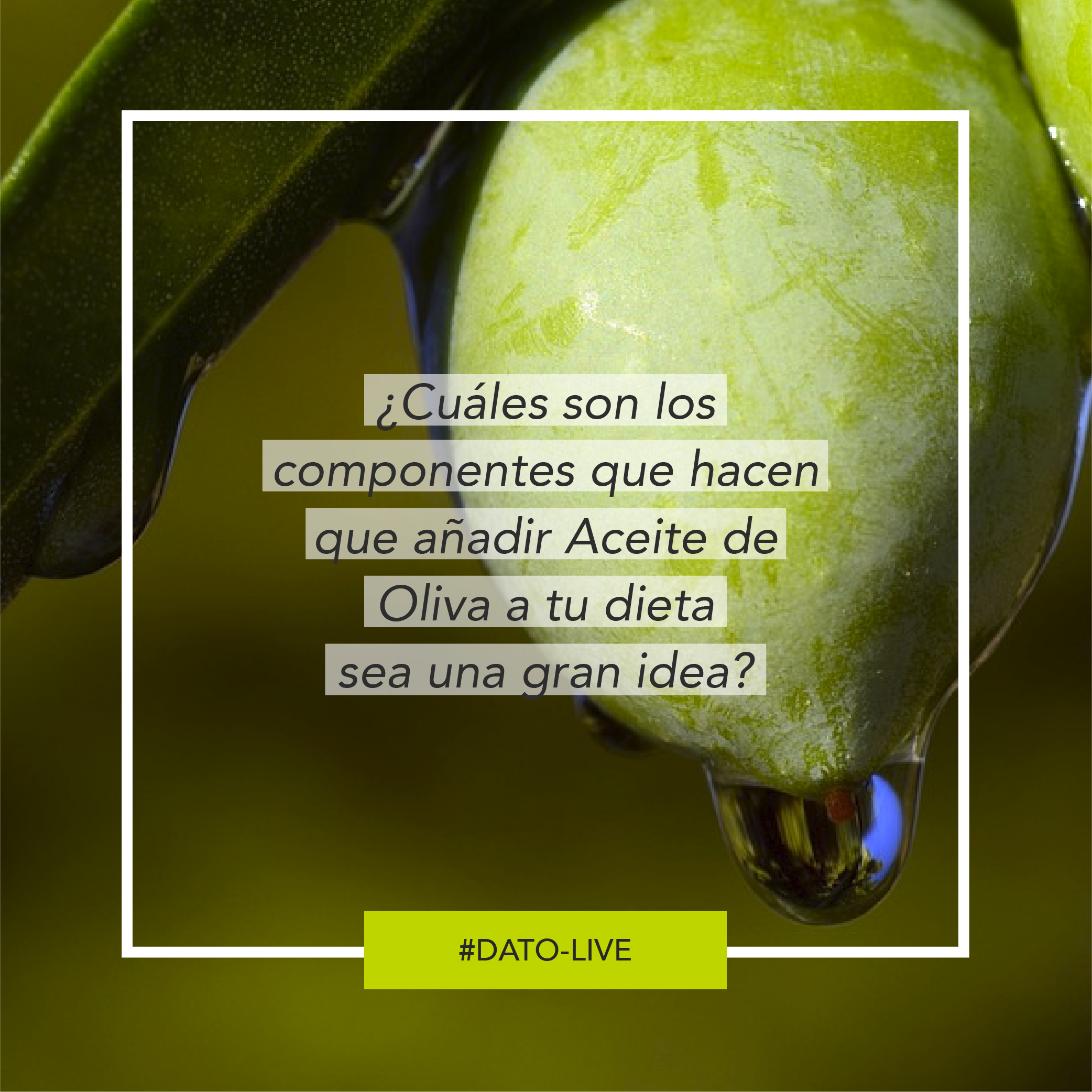 Portada de Dato O-Live que muestra el texto: "¿Cuáles son los componentes que hacen que añadir aceite de oliva a tu dieta sea una gran idea?".