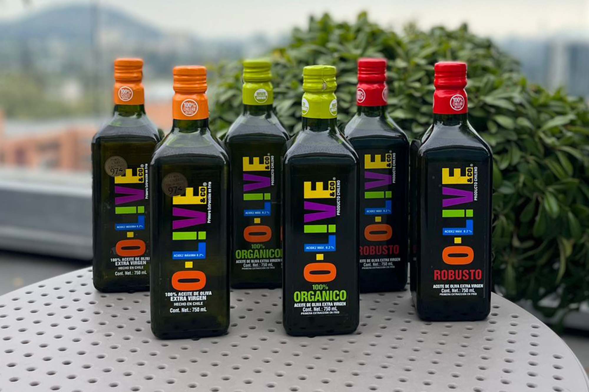 Mix de botellas de 750 ml todas las variedades de aceite de oliva extra virgen O-Live&Co sobre una mesa de madera